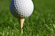 Golf ball and Tee