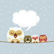 Owl