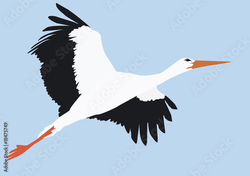 Storch Fliegend Storch Fliegend