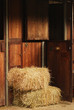 Images : cavalli
