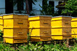 Beehives