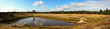 Heidestein Heather