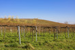 Wein Wien Stammersdorf Wein Wien Stammersdorf