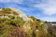view of a small mountain in brittany