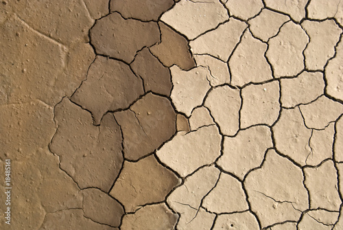 cracked ground sludge produced by the drying