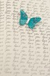 Butterfly on a letter