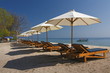 Tropical Beachline