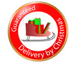 Guaranteed Christmas Delivery