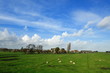 Typical Dutch country landscape in Marken Typical Dutch country landscape in Marken