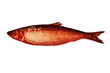 Red Herring