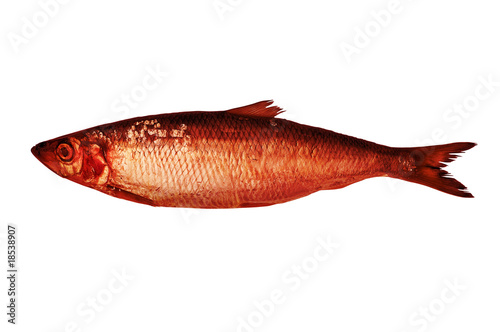 Photo: Red Herring Red Herring