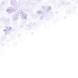 Schneeflocken Design Schneeflocken Design
