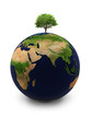 the Earth with a tree
