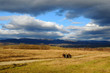 fields and mountains