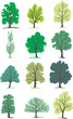 ARBRES DES BOIS