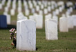 Tombstone and Flowers