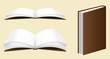 Vector: Books Books