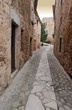 Foto: Gasse in Pals Gasse in Pals