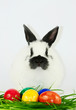 Osterhase