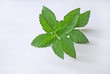 Spice leaf.