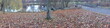 Herbstpanorama