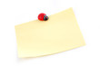 ladybird on a sheet