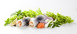 Pickled herring and vegetables