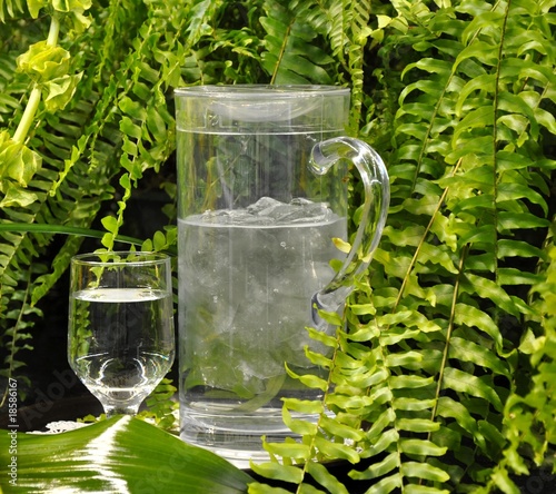 Photo: Fresh water Fresh water