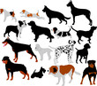 dogs collection vector silhouettes dogs collection vector silhouettes