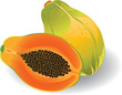 pawpaw