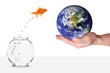 goldfish jumping out of fishbowl and into planet earth goldfish jumping out of fishbowl and into planet earth
