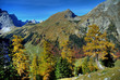 Herbstliche Alpen