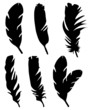 Federset