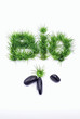 alimentation bio