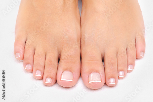 Photo: female feet with the French pedicure female feet with the French pedicure