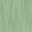 Tall grass