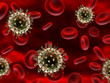 H1N1 Viren im Blut