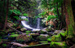 Waterfall Scene Waterfall Scene