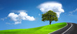 Empty road, panorama