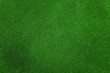 green grass texture