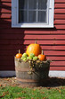 Pumpkins in the basket