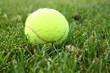 Rasentennis