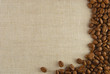 Seed of coffee