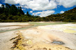 Frying Pan Flat, Wai-O-Tapu Thermal Wonderland, NZ