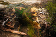 Hot Stream, Wai-O-Tapu Thermal Wonderland, NZ