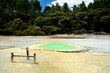 Oyster Pool, Frying Pan Flat, Wai-O-Tapu, NZ