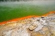Edge of the Champagne Pool, Wai-O-Tapu Thermal Wonderland