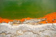 Edge of the Champagne Pool, Wai-O-Tapu Thermal Wonderland