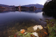 sponda del lago