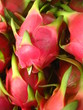 Foto: Dragon fruit Dragon fruit